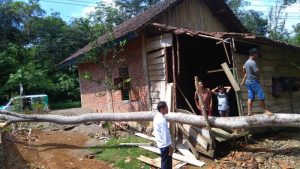 Pohon Tumbang Di Musi Rawas Akibat Hujan Lebat Robohkan Rumah Warga