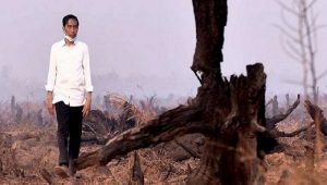 Intruksi Jokowi Untuk Kebakaran Hutan