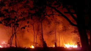 Ibu Kota Baru Dikepung Asap