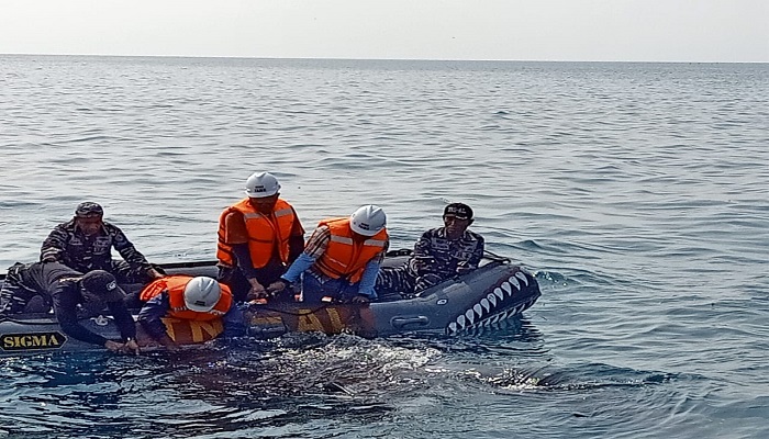 Tim Rescue Whale Shark Hebat, Begini Kronologinya