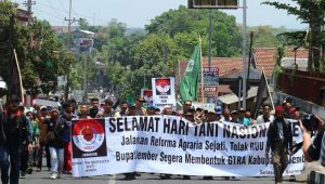 Serikat Tani Jember Demo Tuntut Realisasi Reformasi Agraria