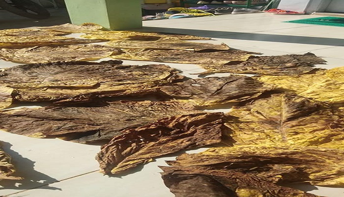 Konspirasi Di Balik Iklan “Rokok Membunuhmu”