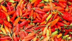 Kadin Usulkan Klaster Komoditas Atasi Gejolak Harga Cabai