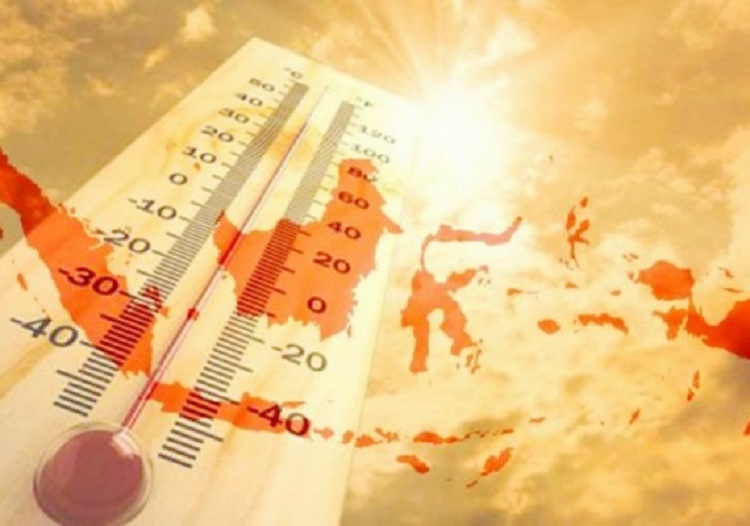 Satu Minggu Indonesia, (Foto: Istimewa)