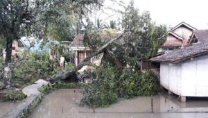 Dilanda Hujan dan Angin Kencang, Puluhan Rumah di Ciamis Rusak