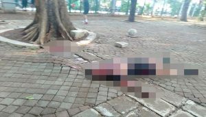 Ledakan Granat Asap di Monas Mengincar Presiden Jokowi, Benarkah Itu?