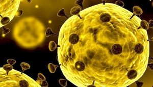 Corona Jadi “Momok” Di Dunia