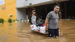 Banjir di Awal Tahun Baru 2020, Jokowi; Itu Akibat Kerusakan Ekosistem Dan Ekologi