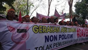 Ribuan Massa Gelar Aksi “Save Babi” di Medan
