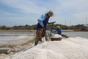 Keluh Kesah di Bulan Soekarno Untuk Jokowi