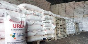 HKTI Minta Pemkab Sumenep untuk cepat Atasi Kelangkaan Pupuk