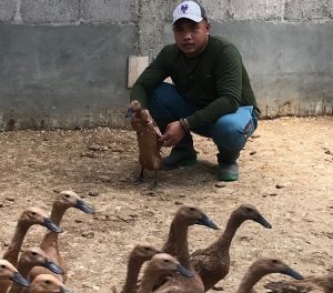 Gerbang Tani DIY Minta Pemerintah Kontrol Harga Pakan Ternak