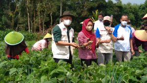 Menkop UKM : Bisnis Model Koperasi Pertanian Max Yasa Purbalingga Perlu Direplikasi