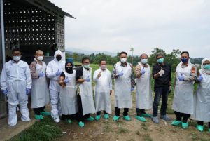 Pemerintah Percepat Penanganan PMK