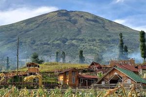 Pesona Kampung Atas Awan, Wisata dan Penginap Eksotis di Temanggung