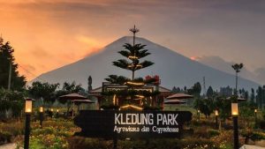 5 Tempat Nongkrong Romantis di Temanggung View Gunung, Cocok Buat Healing