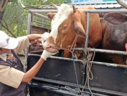 Pemkab Probolinggo Perketat Pengawasan Lalu Lintas Ternak Demi Cegah Wabah PMK