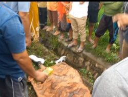 Pemuda di Probolinggo Meninggal Saat Jogging di Area Persawahan