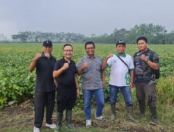 Dua Pahlawan Gizi dari Jember: Edamame dan Okra, Superfood Lokal yang Mendunia
