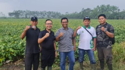 Dua Pahlawan Gizi dari Jember: Edamame dan Okra, Superfood Lokal yang Mendunia