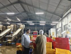 Ekspor ke Kazakhstan: Saatnya Petani dan Pengusaha Muda Indonesia Naik Kelas