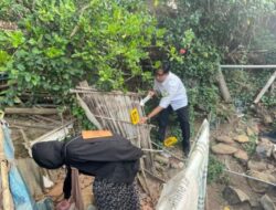 Terungkap! Pembuang Bayi di Situbondo Ternyata Ibu Kandung Sendiri, Mahasiswi 20 Tahun