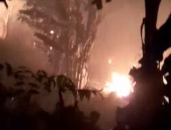 Kandang Ayam di Probolinggo Terbakar, 20 Ribu Bibit Hangus