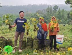 Garda Bangsa Panen Edamame, Warga Panen Berkah
