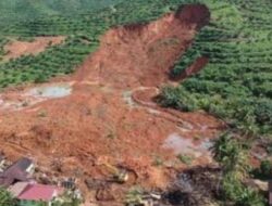 Longsor Arjasari Diduga Dipicu Alih Fungsi Hutan Jadi Kebun Palawija