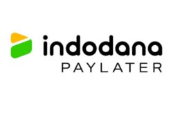 Indodana Menjadi Sorotan di Tengah Lonjakan Pinjol Resmi