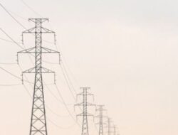 Aduan Usaha di Bawah SUTET Viral, PLN ULP Probolinggo Diminta Bertindak