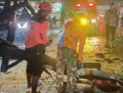 Hujan dan Angin Kencang, Pohon Tumbang Hambat Arus Jalan Nasional di Gempol