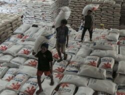 Cadangan Beras 4,5 Juta Ton, Gudang Bulog Kelebihan Kapasitas
