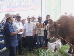 Muzani Buka Piala Ketua MPR RI Kontes Sapi APPSI di Wonosobo