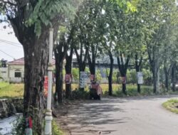 Belasan Plakat Nama Jalan di Kota Probolinggo Dicuri, Pemkot Tempuh Jalur Pidana