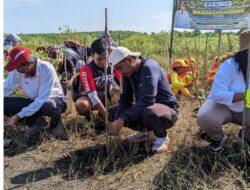 Ketua PC Ansor Kota Probolinggo Ikut Tanam Mangrove di Pilang