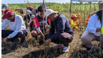 Ketua PC Ansor Kota Probolinggo Ikut Tanam Mangrove di Pilang
