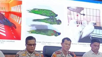 Polres Probolinggo Kota Gagalkan Penyelundupan 38 Satwa Dilindungi, ABK Ditangkap