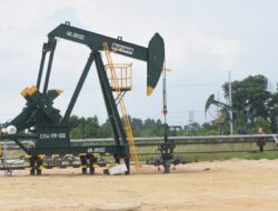 Pertamina Jajaki Kerja Sama Hulu Migas dengan Apache Corporation di Houston
