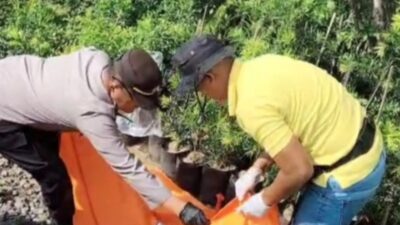 Pemuda Tanpa Identitas Tewas Tertabrak Kereta di Sumberasih Probolinggo