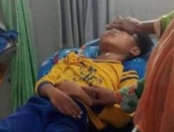 Diduga Alami Gangguan Asam Lambung, Siswa SD di Pasuruan Meninggal Usai Konsumsi Mi Instan dan Soda