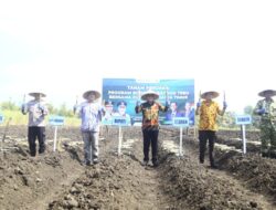 Probolinggo Dapat Alokasi 1.200 Hektar Program Bongkar Ratoon Tebu 2026