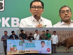 Wakil Ketua Umum PKB Faisol Rizal Tebar Sapi Kurban di Tapal Kuda