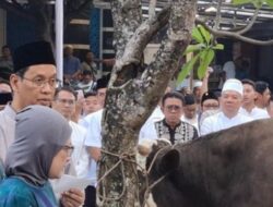 Purbaya Kurban Dua Sapi Saat Idul Adha, Dana Haji Dialihkan untuk Kurban