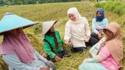 Produksi Padi Jawa Timur Tertinggi Nasional, Capai 7,71 Juta Ton GKG hingga Juli 2026