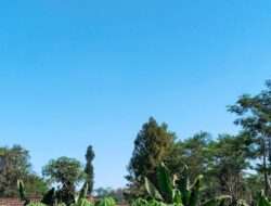 Cuaca Jawa Timur Senin 8 Juni: Suhu Capai 33 Derajat, Hujan Ringan Berpotensi Turun