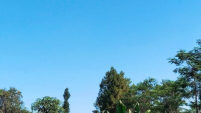 Cuaca Jawa Timur Senin 8 Juni: Suhu Capai 33 Derajat, Hujan Ringan Berpotensi Turun
