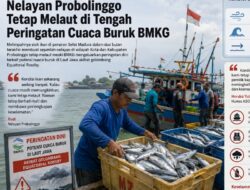 Nelayan Probolinggo Tetap Melaut di Tengah Peringatan Cuaca Buruk BMKG