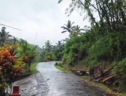 Cuaca Jawa Timur Didominasi Cerah Berawan pada Jumat, Lumajang Berpotensi Diguyur Gerimis