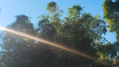 BMKG: Sebagian Besar Wilayah Jawa Timur Cerah Berawan pada Selasa, Hujan Ringan Masih Berpotensi Terjadi